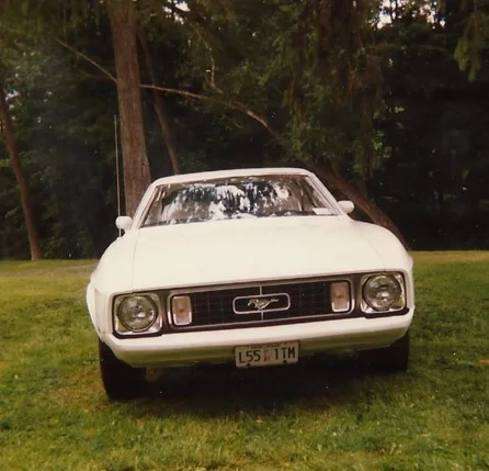 Zmustang5.webp
