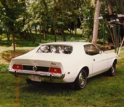 Zmustang6.webp