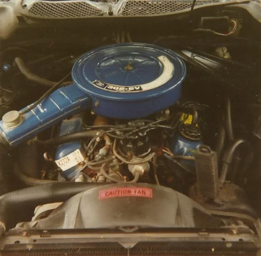Zmustang7.webp
