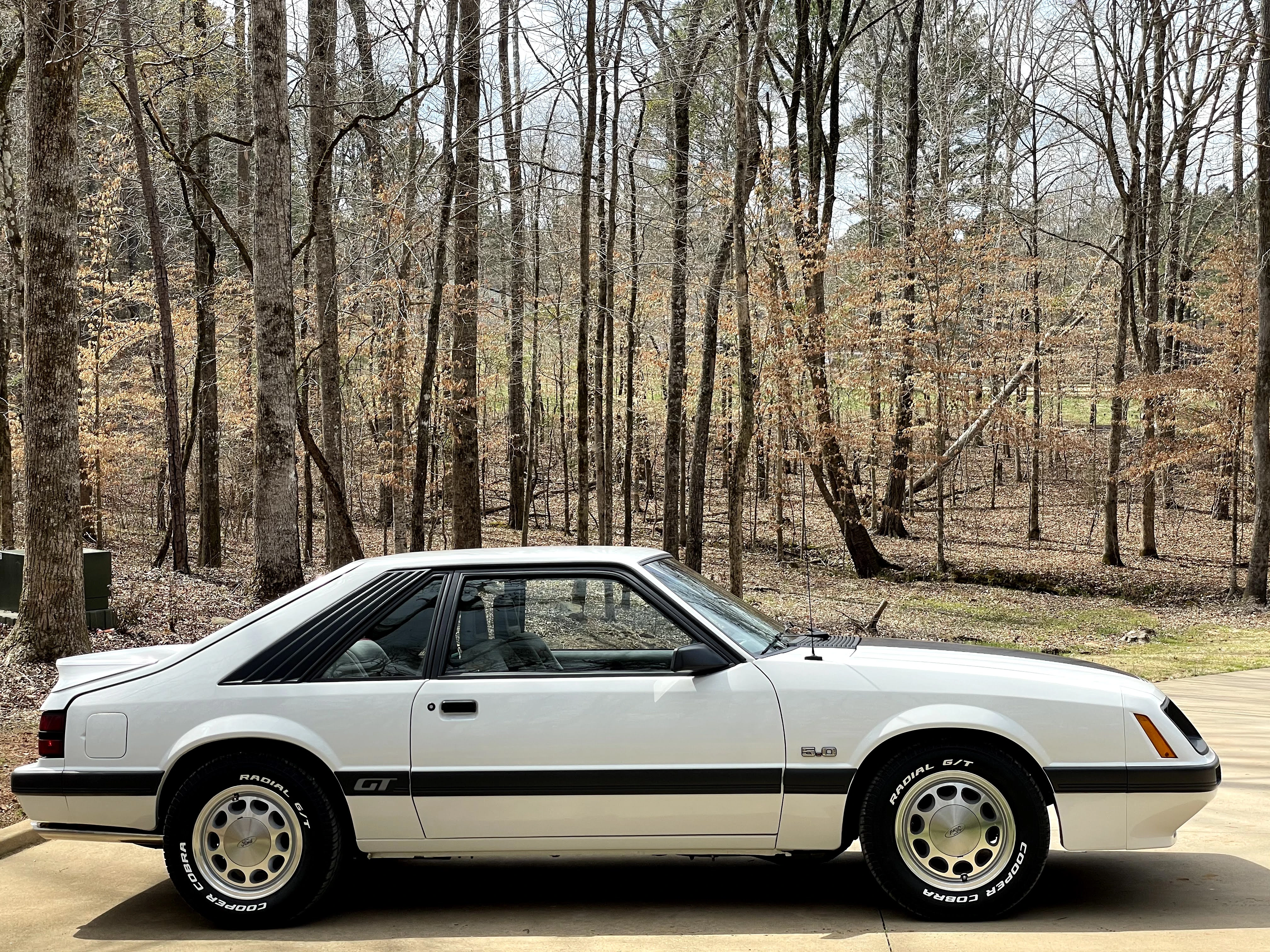1986 GT Restoration