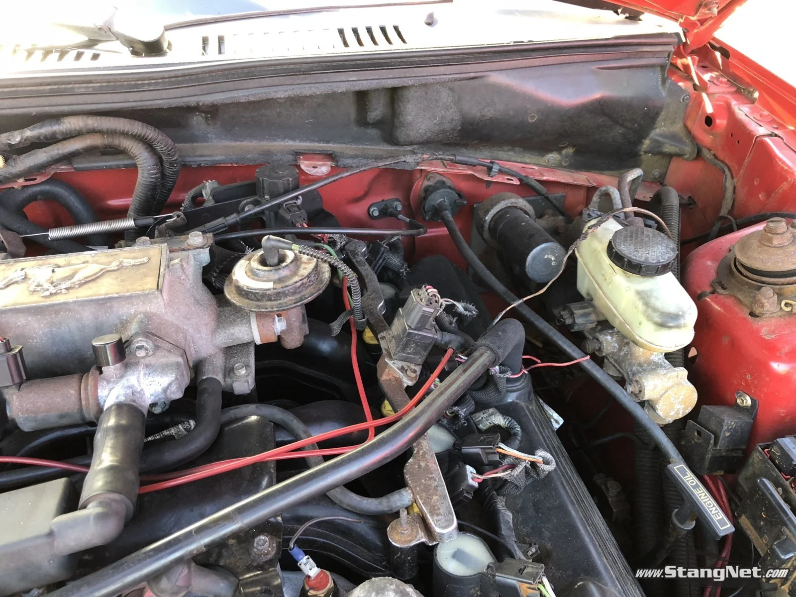 1999 Mustang GT Engine 2