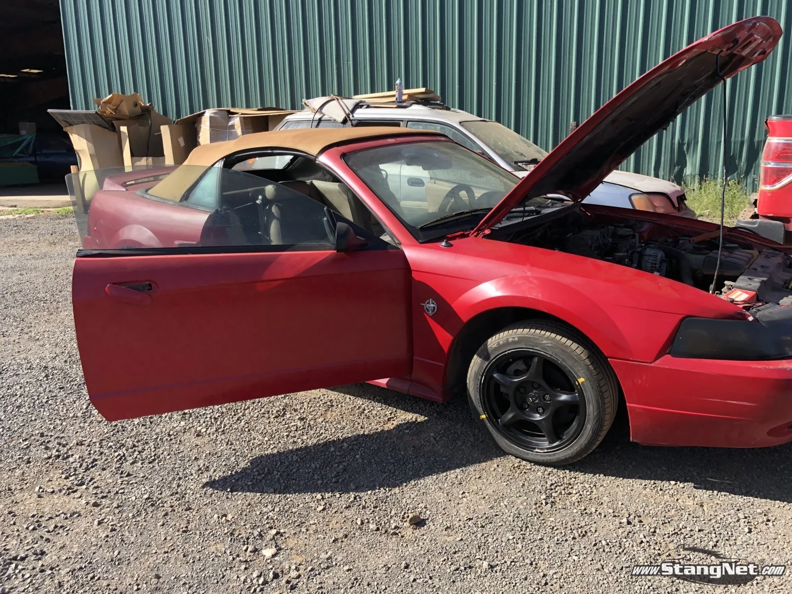 1999 Mustang GT