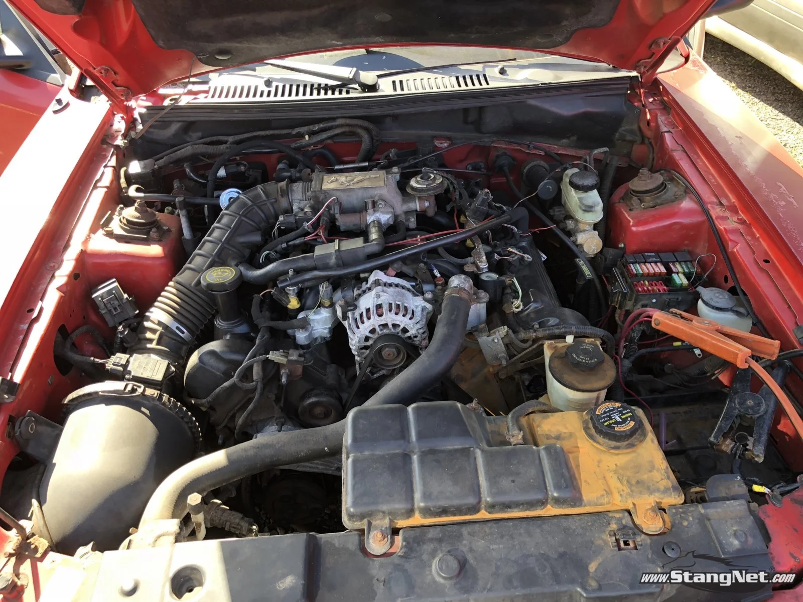 1999 Mustang GT