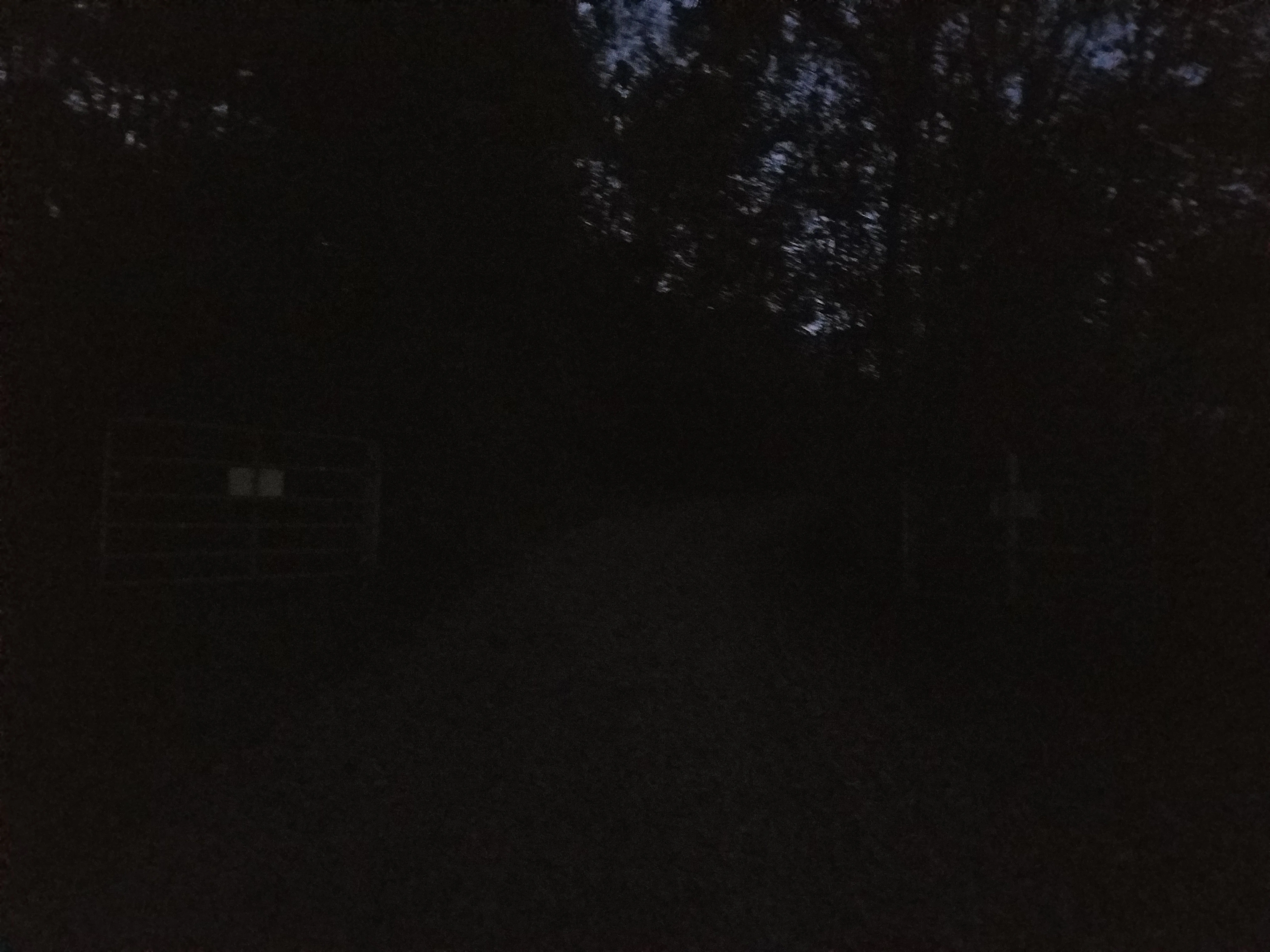 20190922_195044.jpg