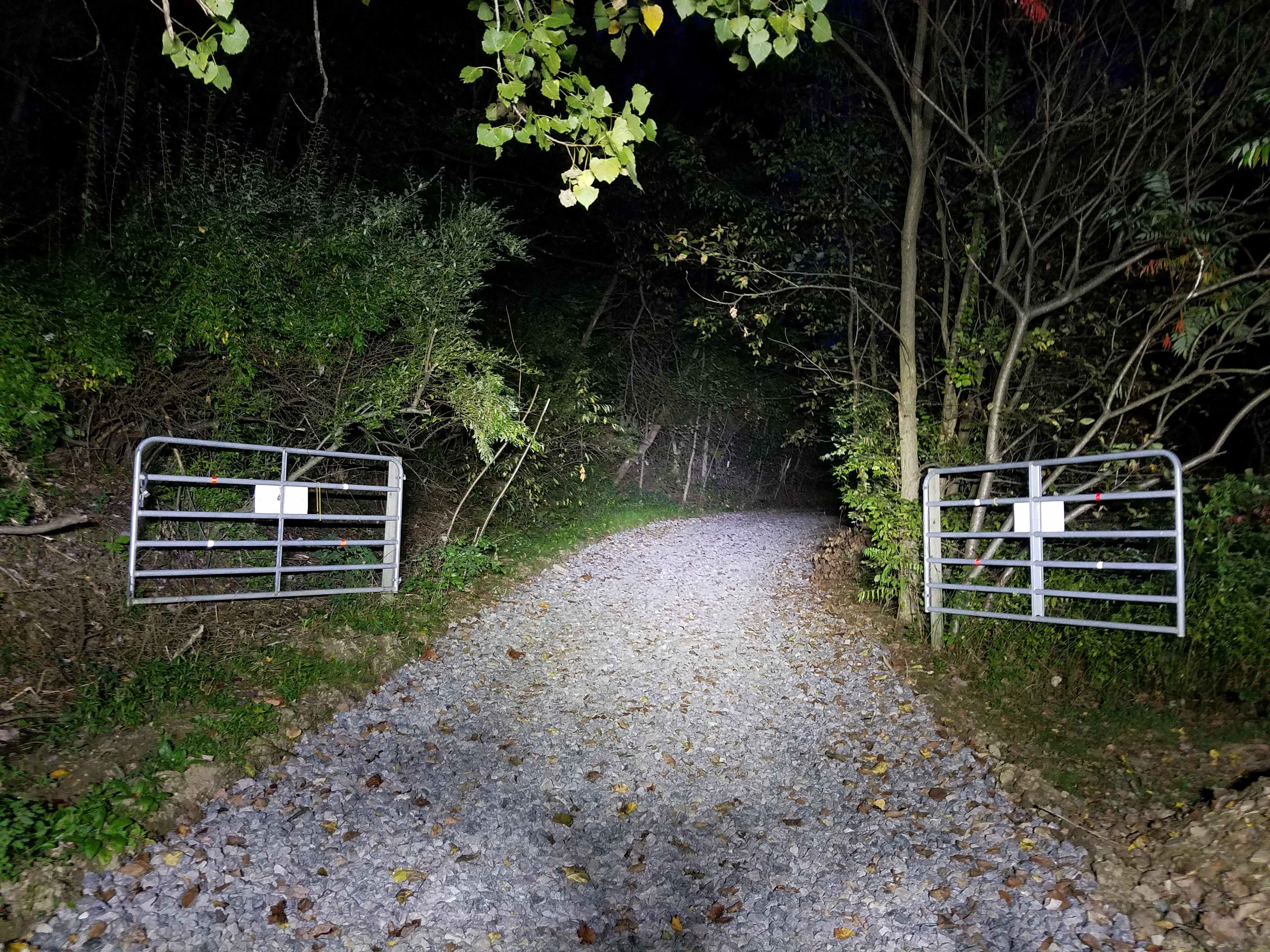 20190922_195048.jpg