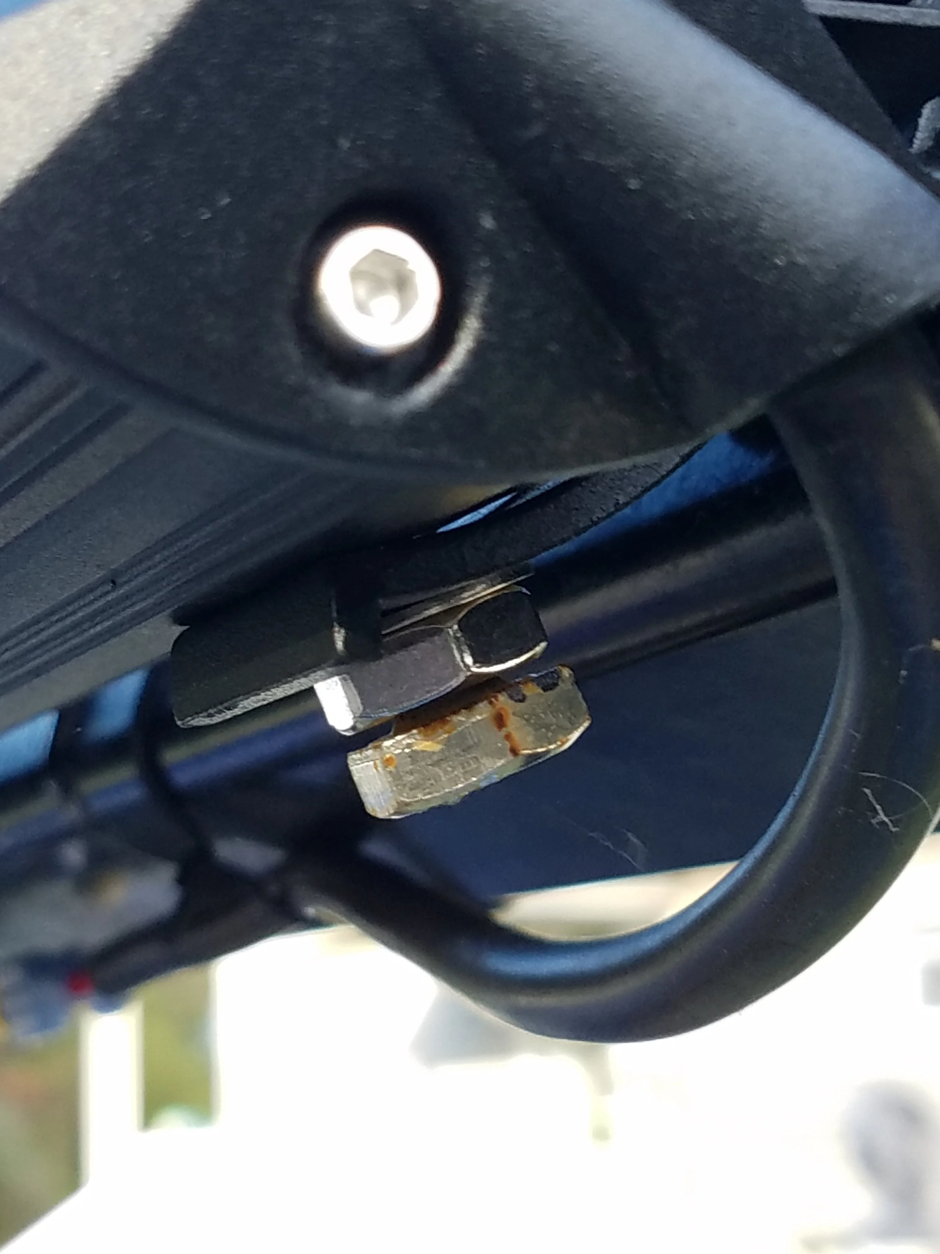 20191004_173239.jpg