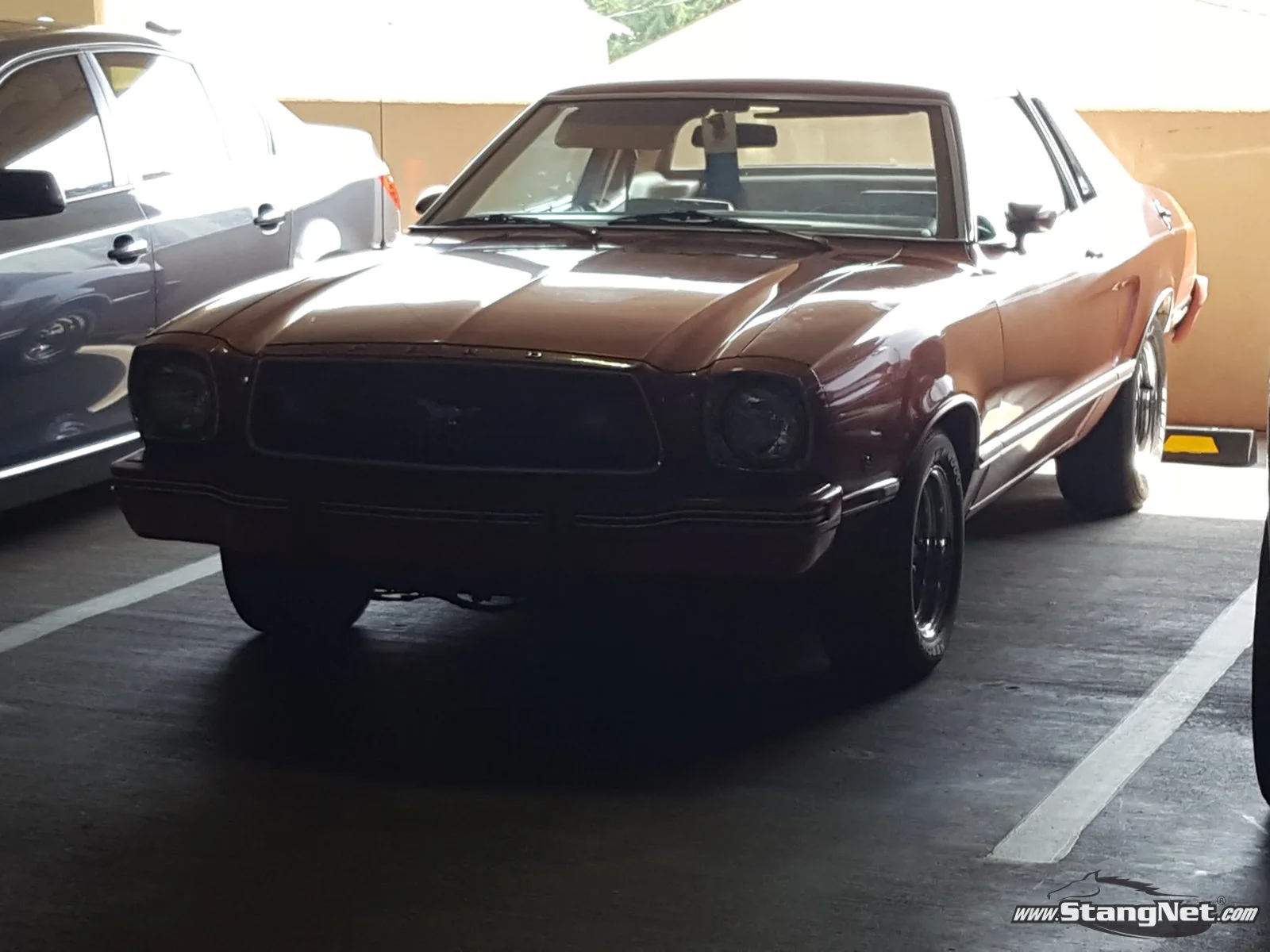 78(?) Ghia