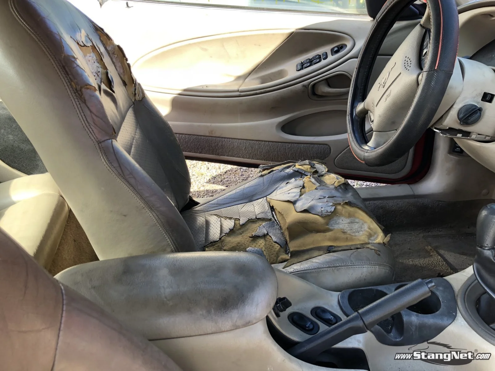 99' Mustang Interior 1