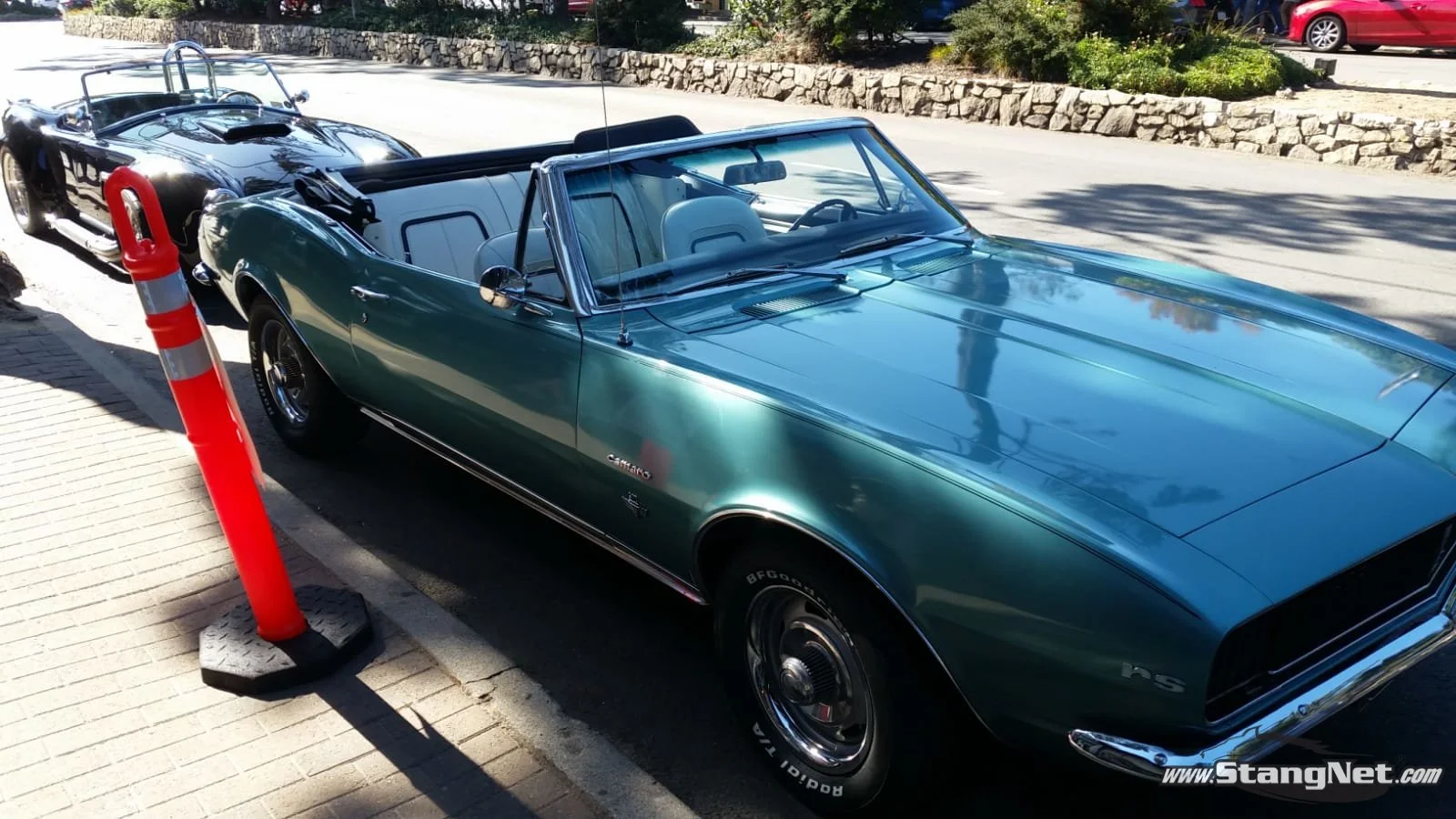 Camaro&Cobra.jpg