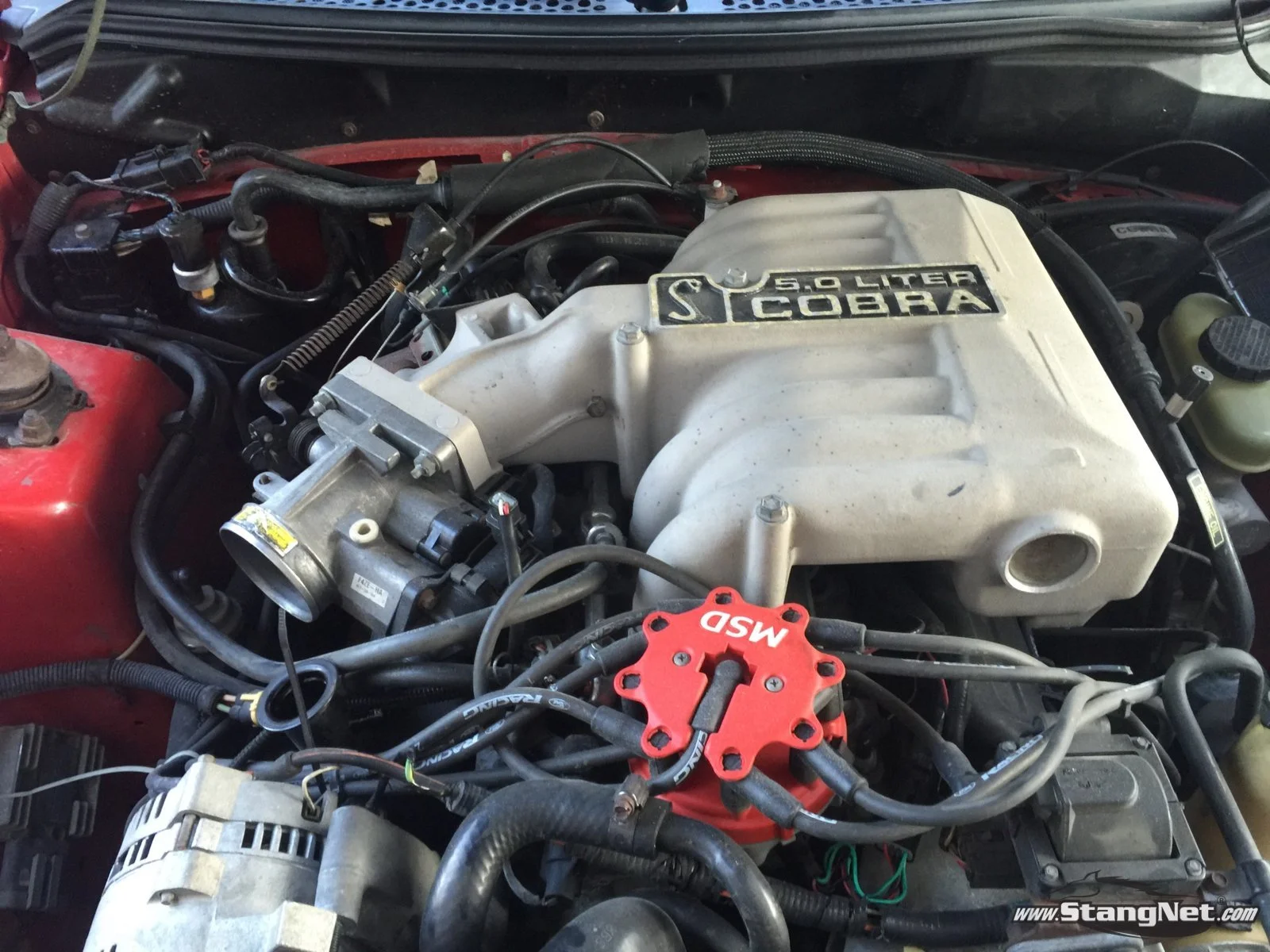 engine bay