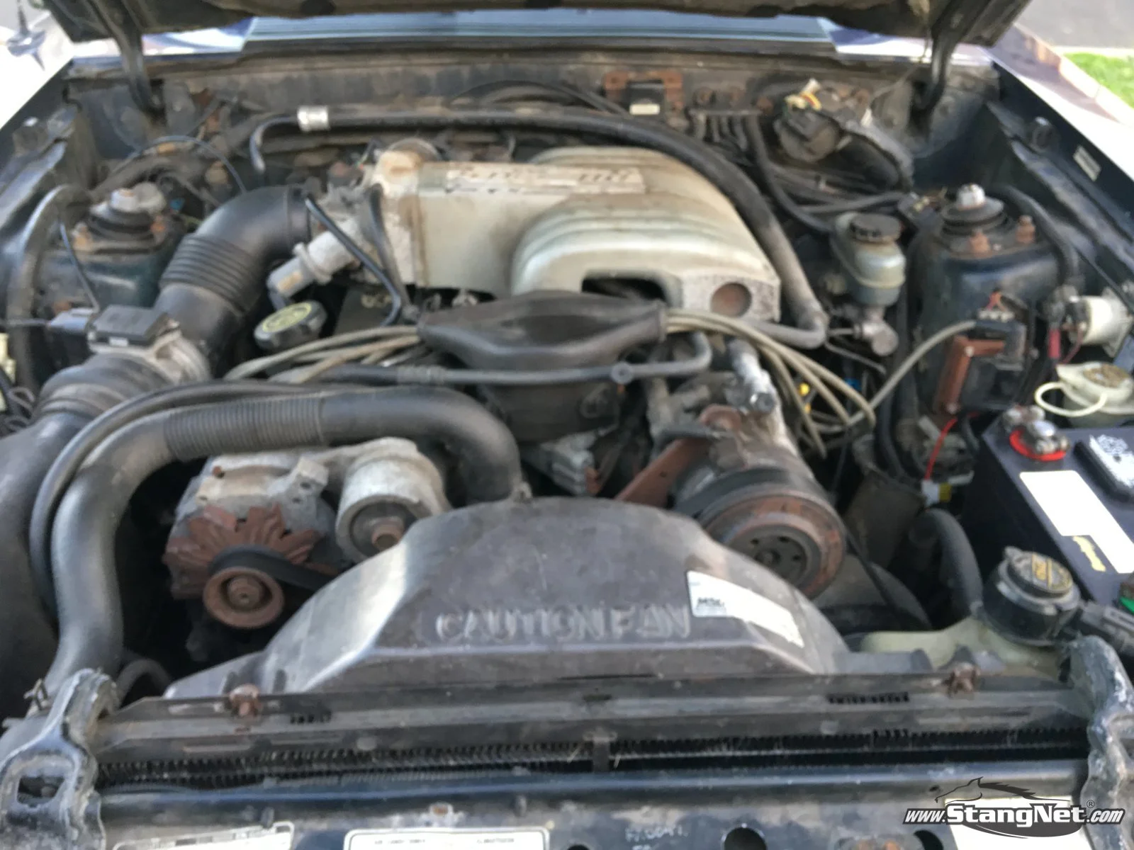 engine bay