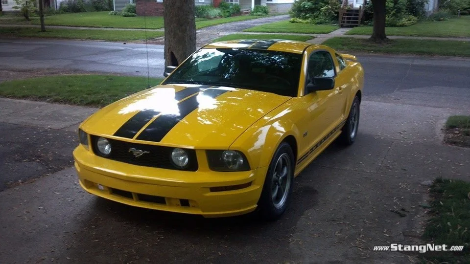 First day I brought it home!