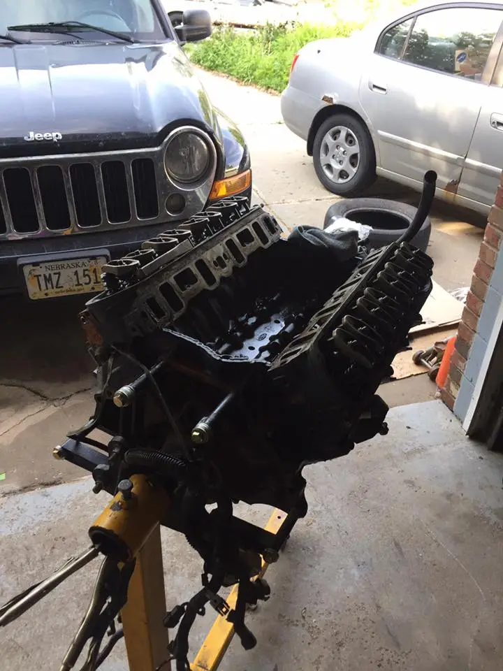 fox build