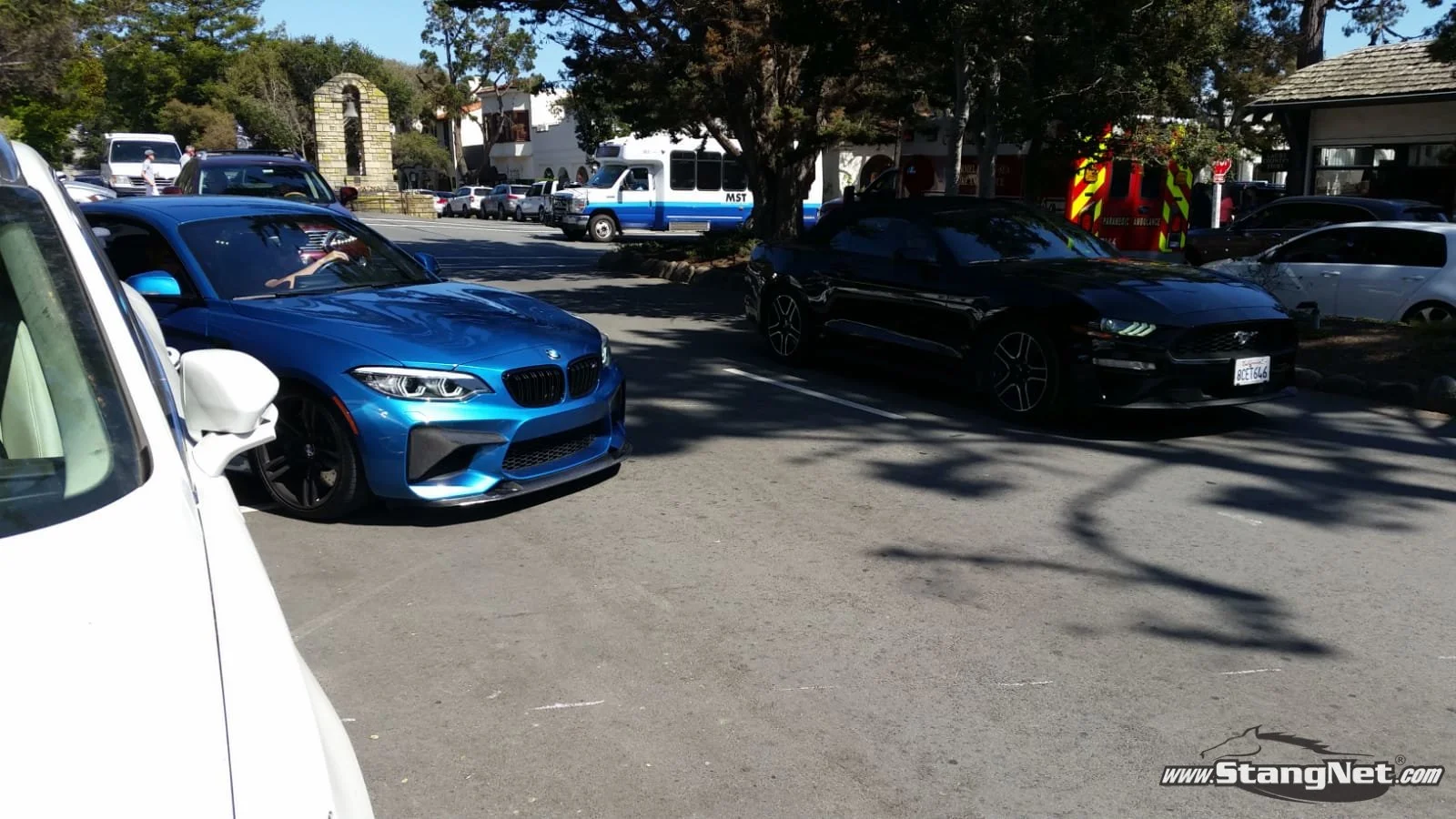 M2(1).jpg