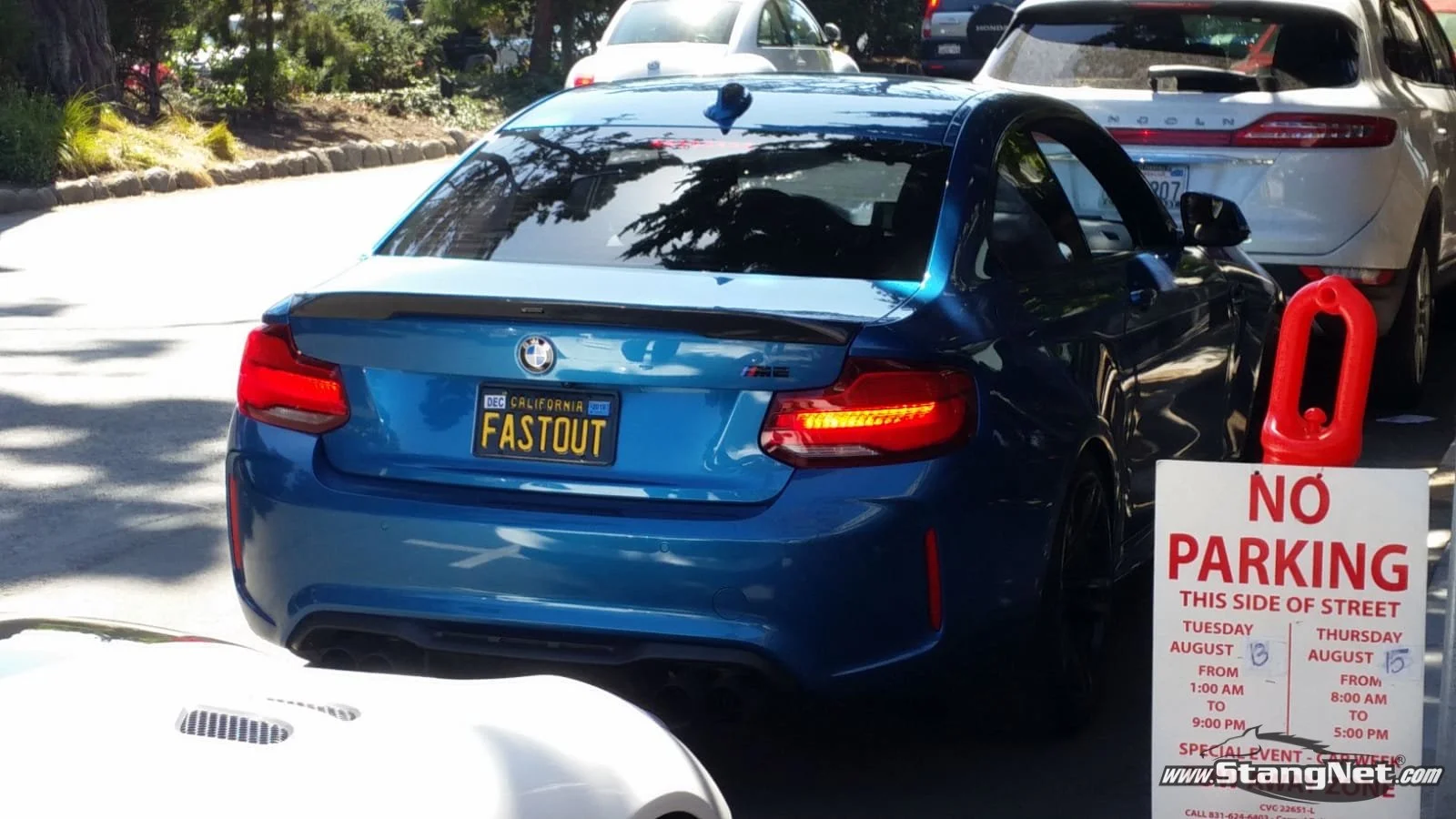 M2(2).jpg