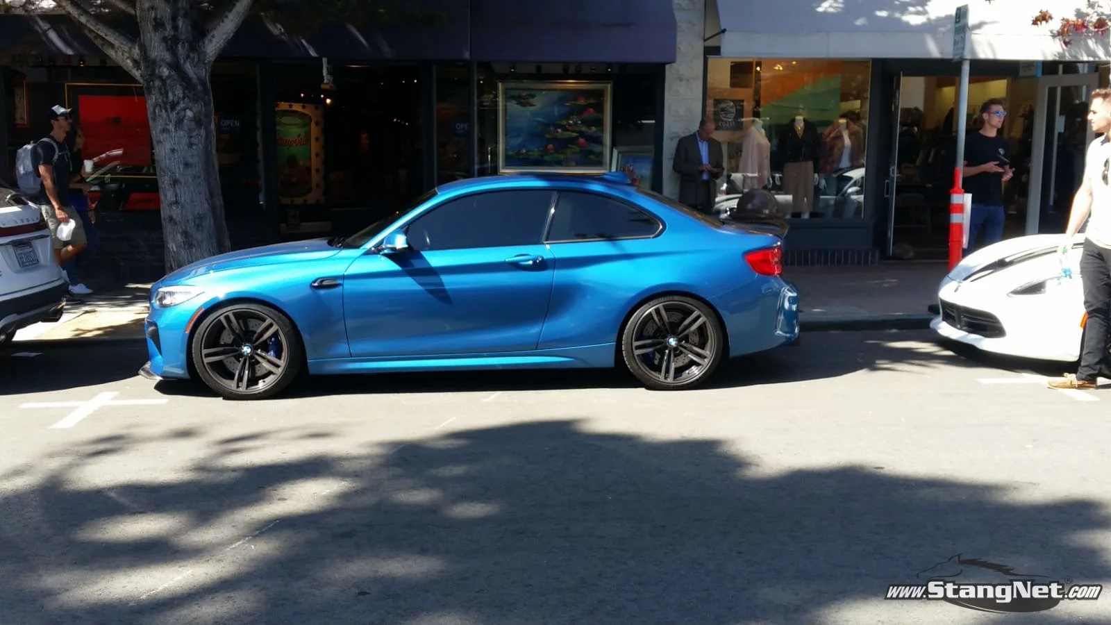 M2(3).jpg