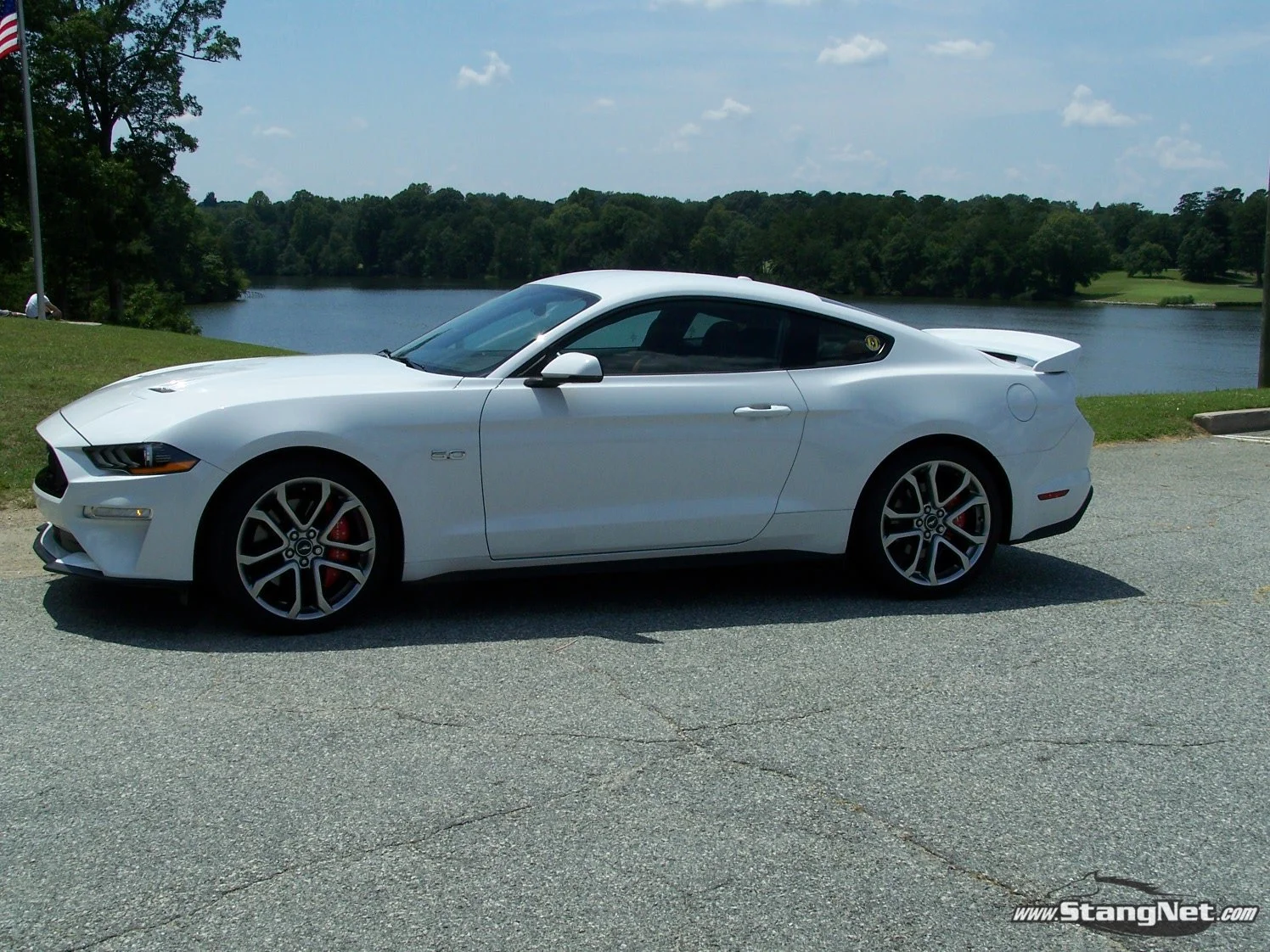 Mustang 1.JPG