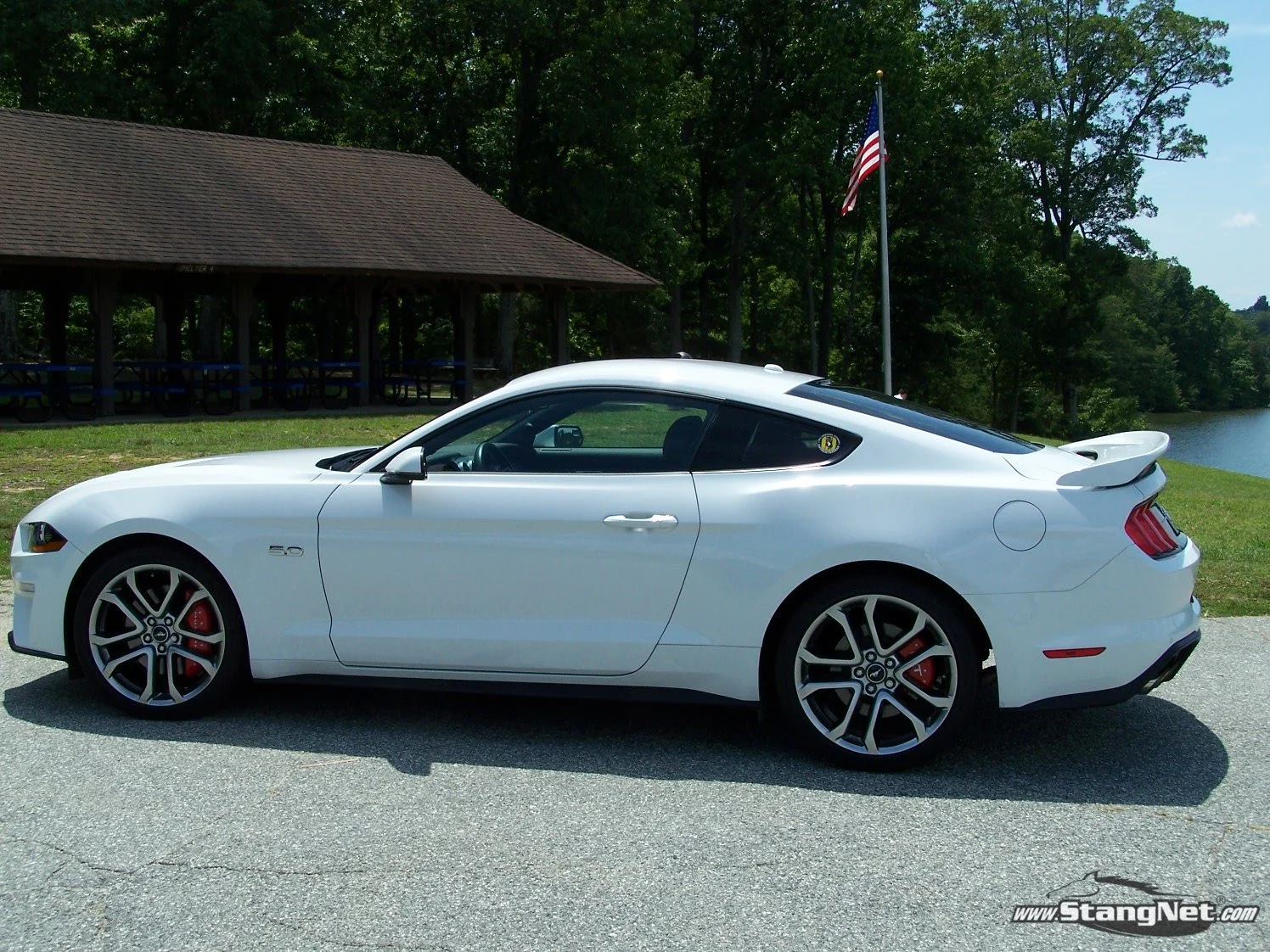 Mustang 2.JPG