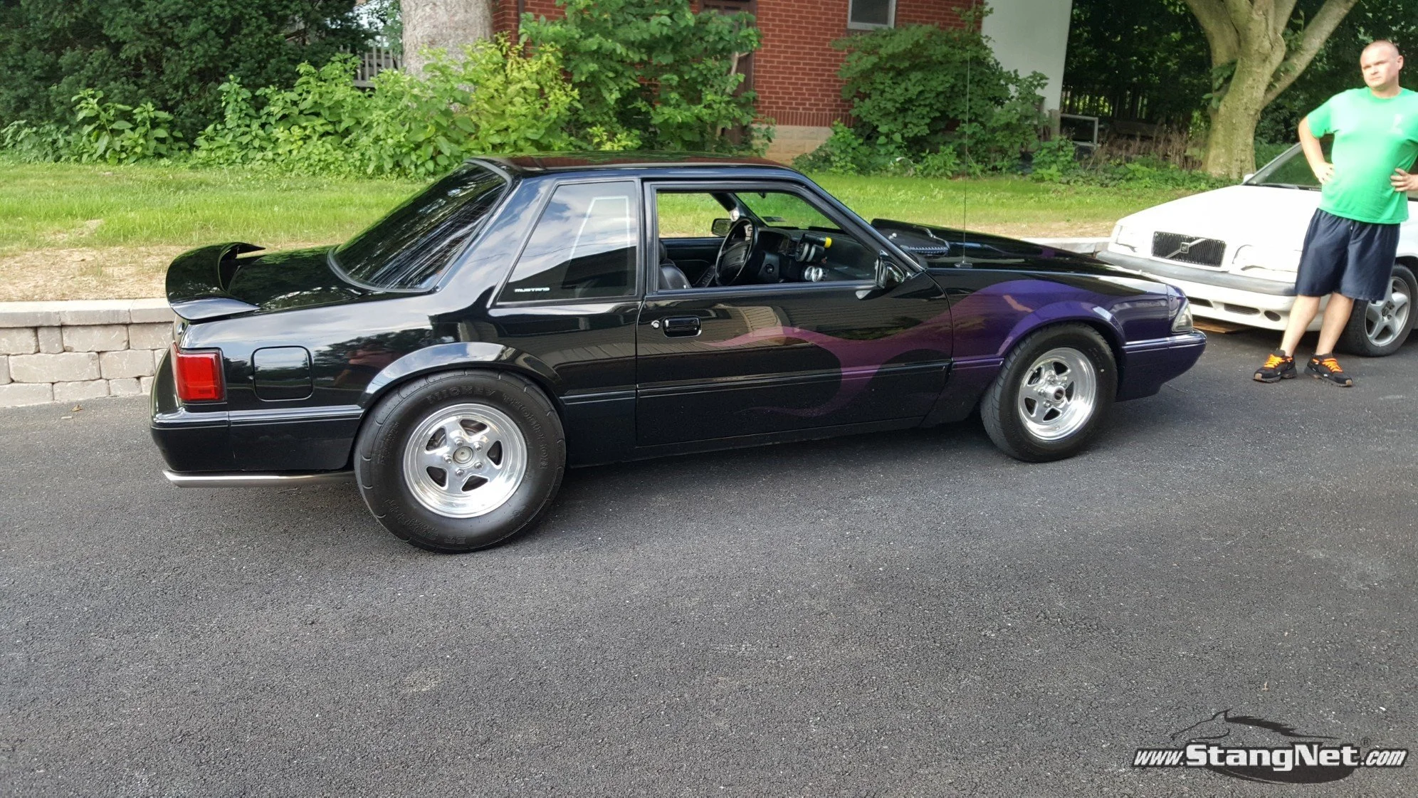 Mustang 3.jpg