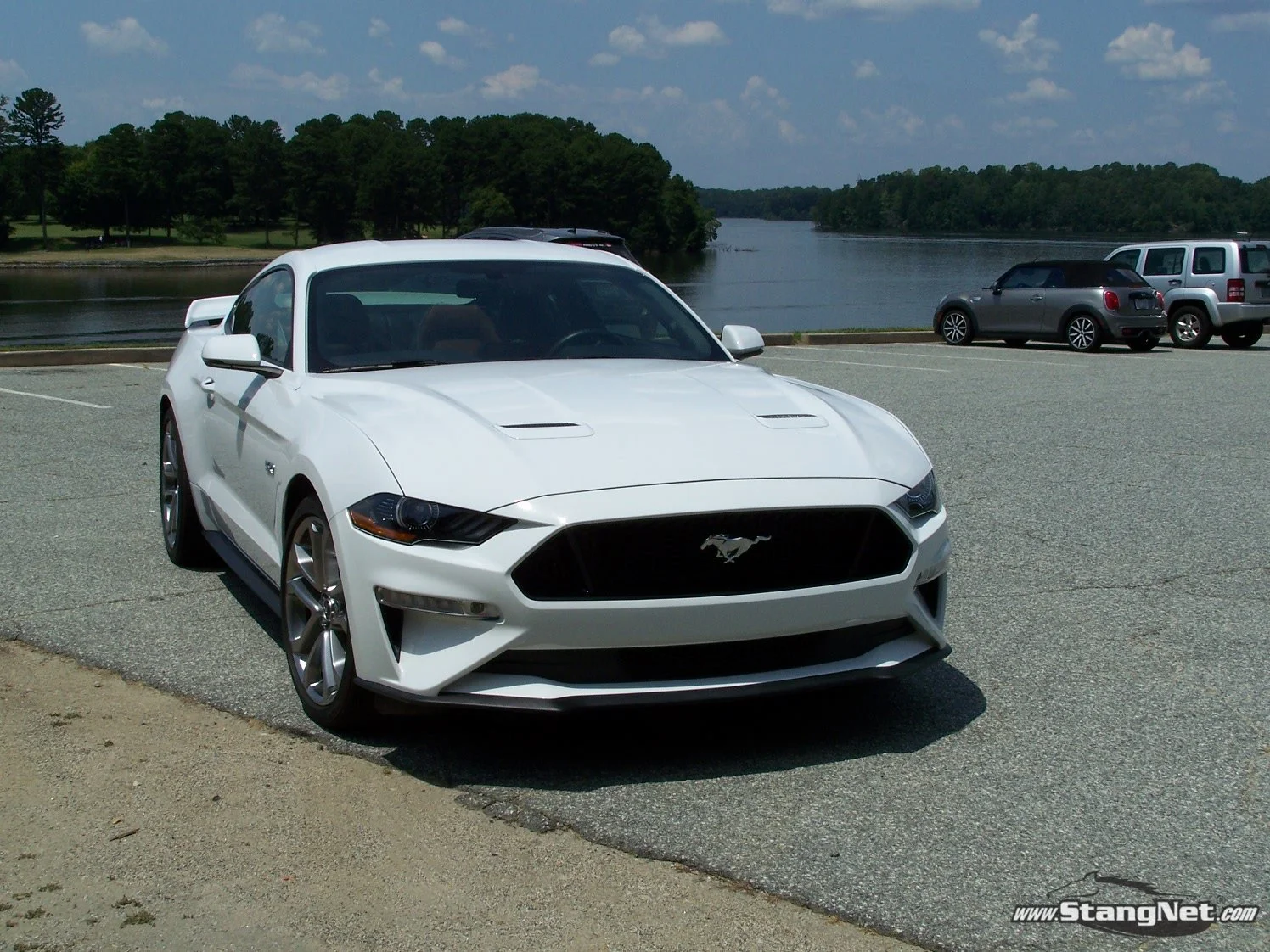 Mustang 5.JPG