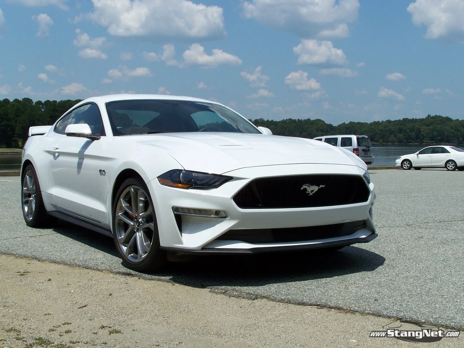 Mustang 6.JPG