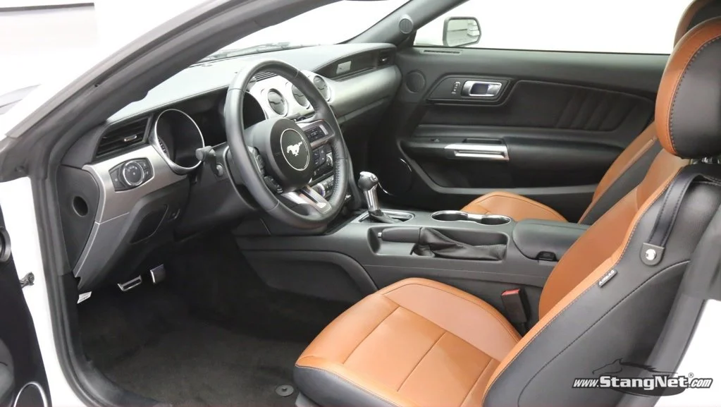 Mustang 7.jpg