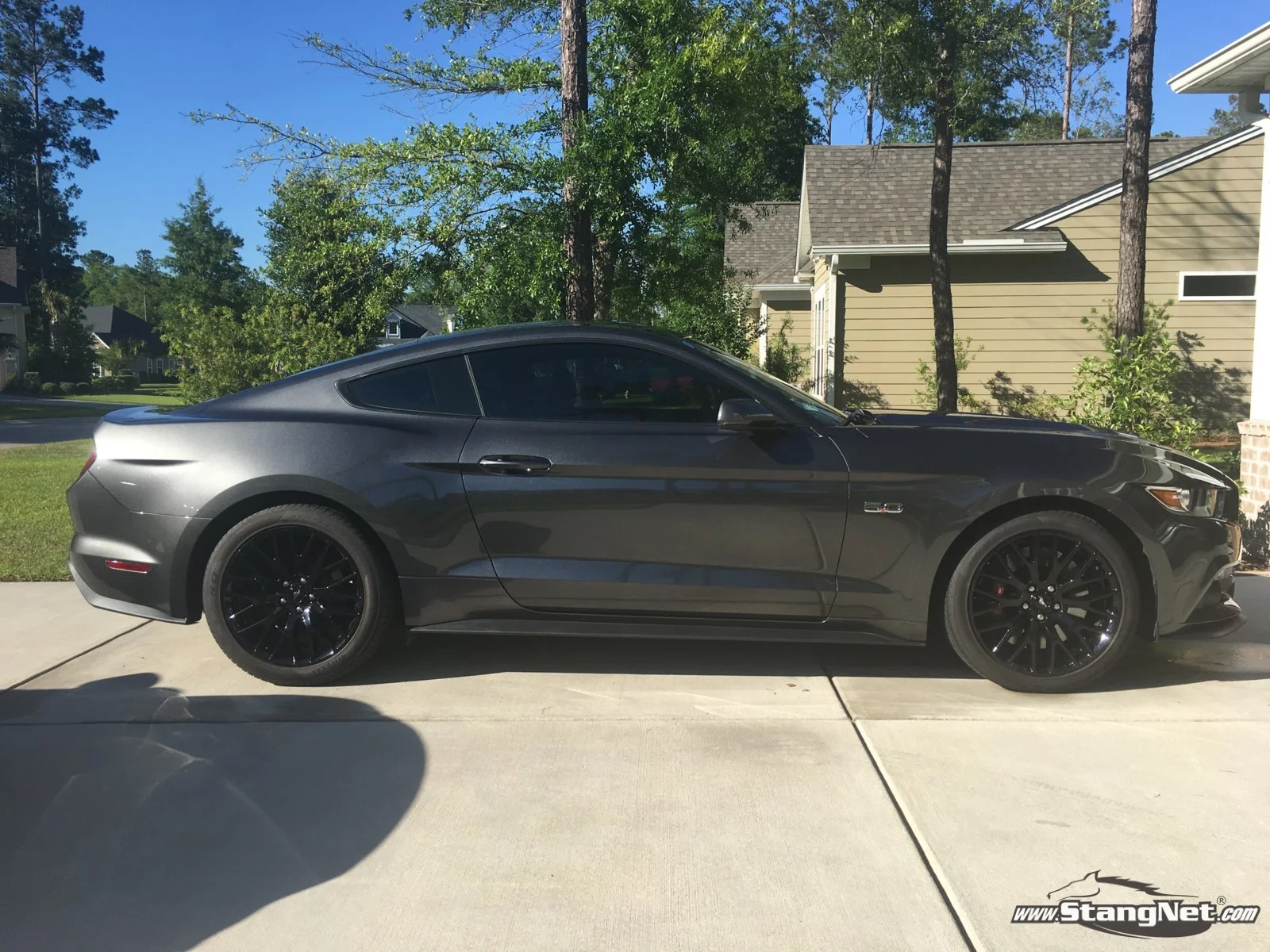 Mustang4