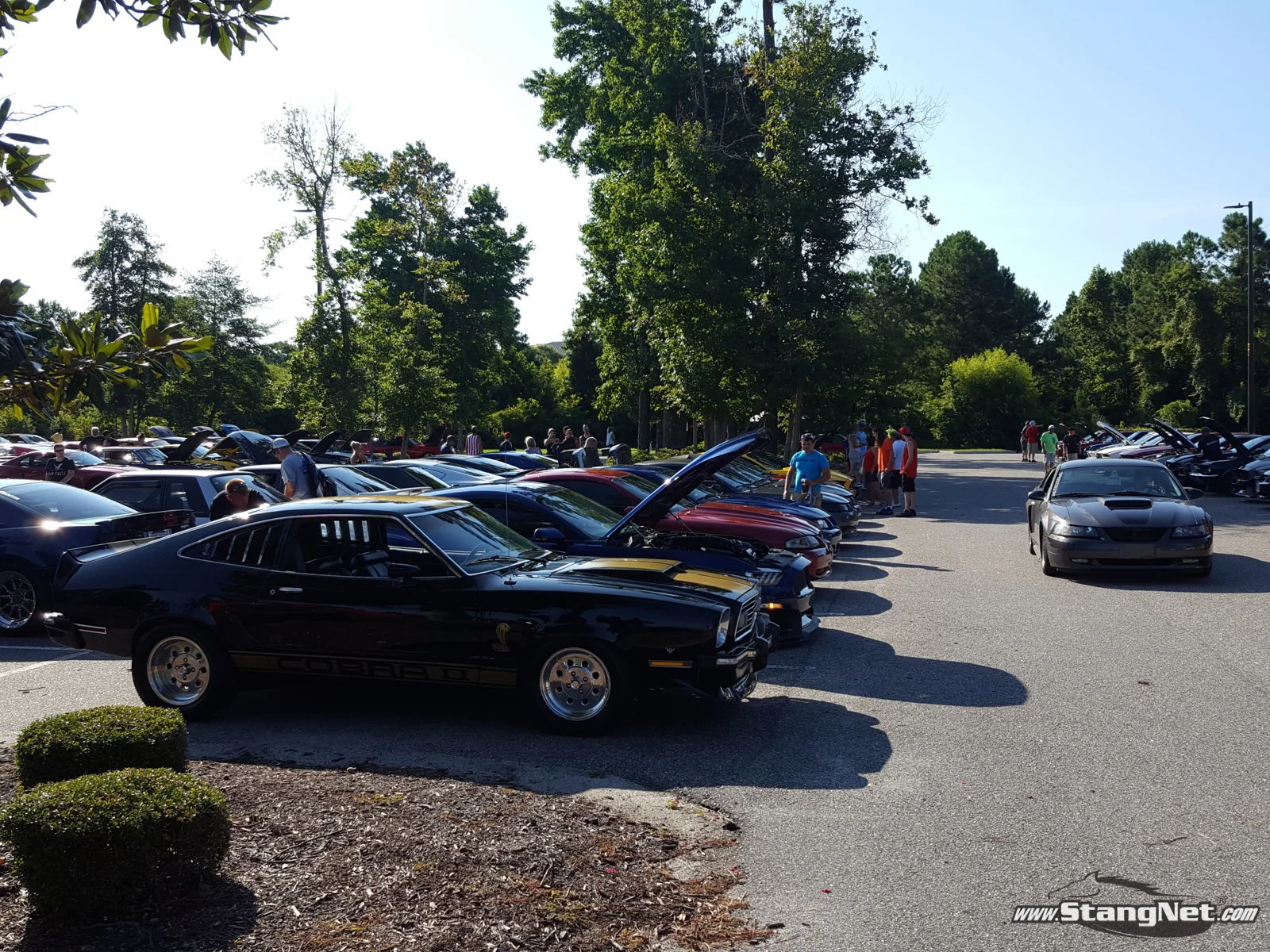 Myrtle Beach Mustang Week 2016