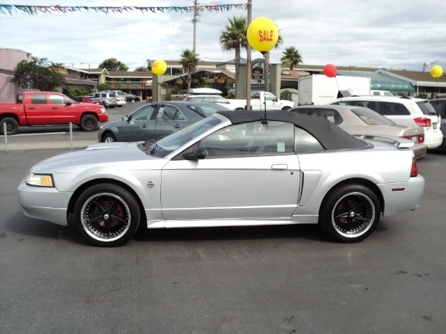 New Baby