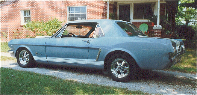 Shelby Hood