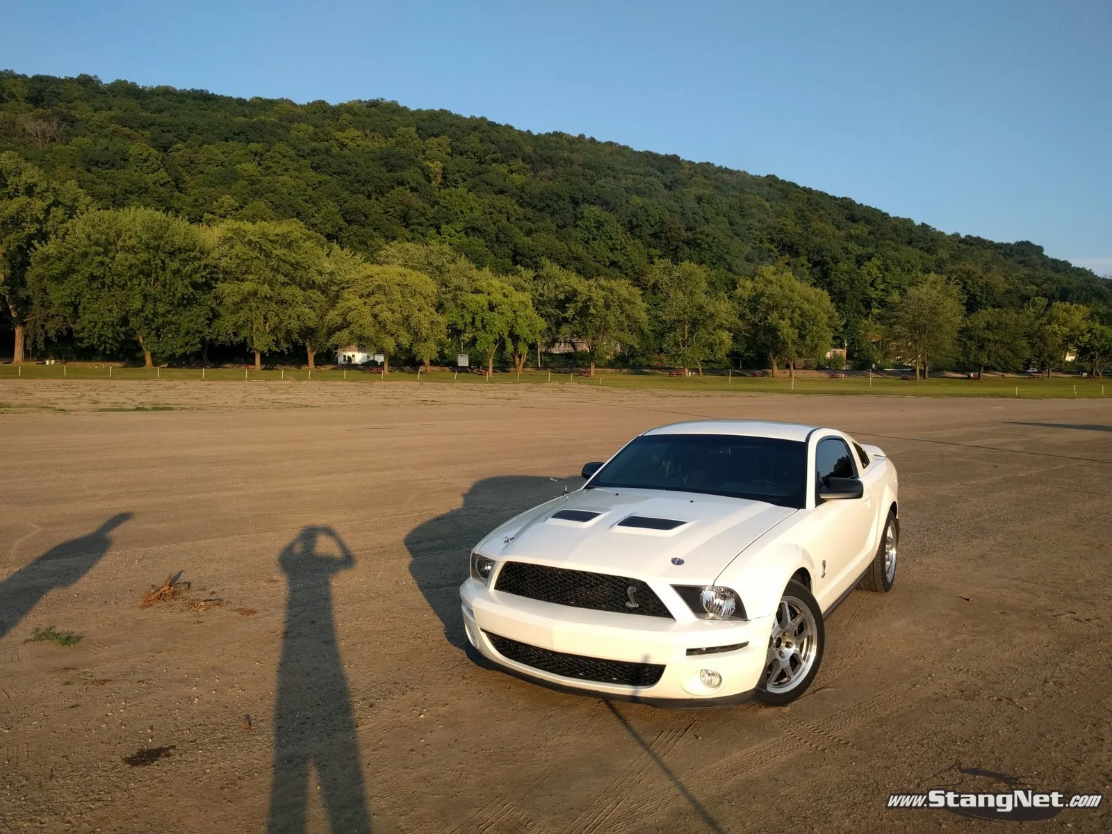 Shelby