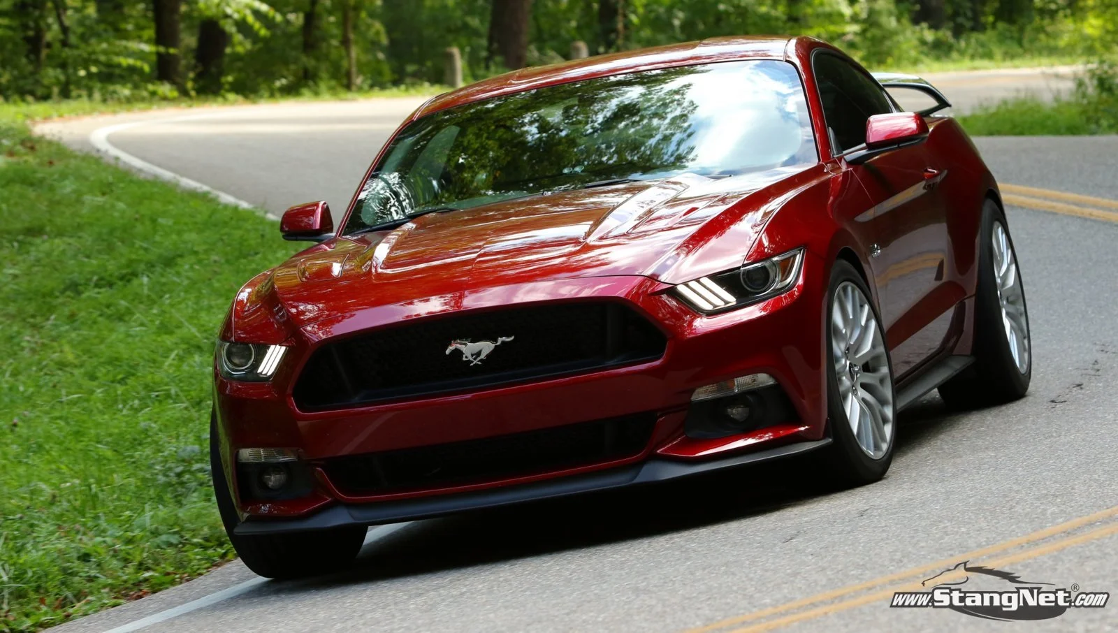 Tail of the Dragon 1