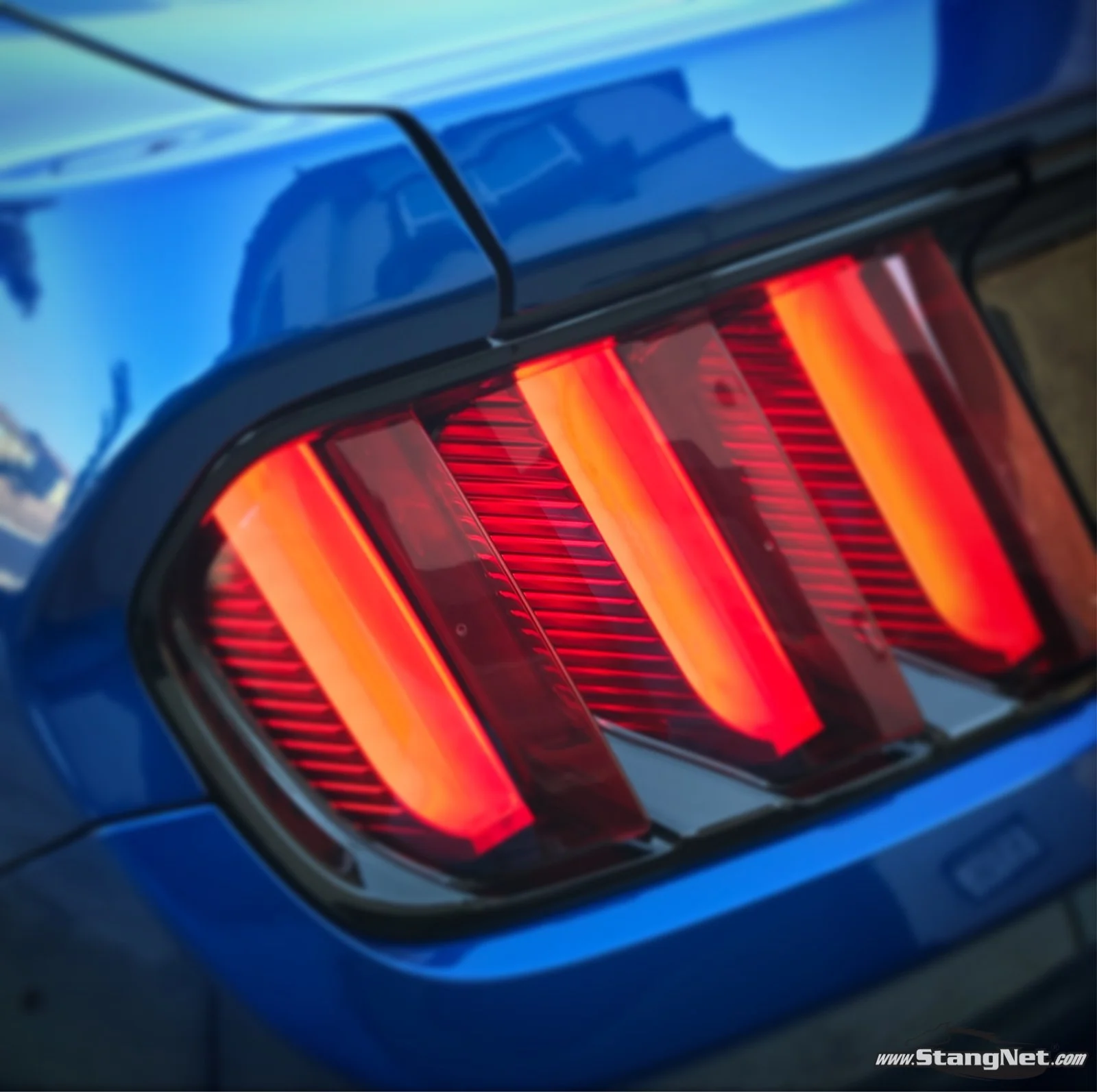 Taillight Tuesday