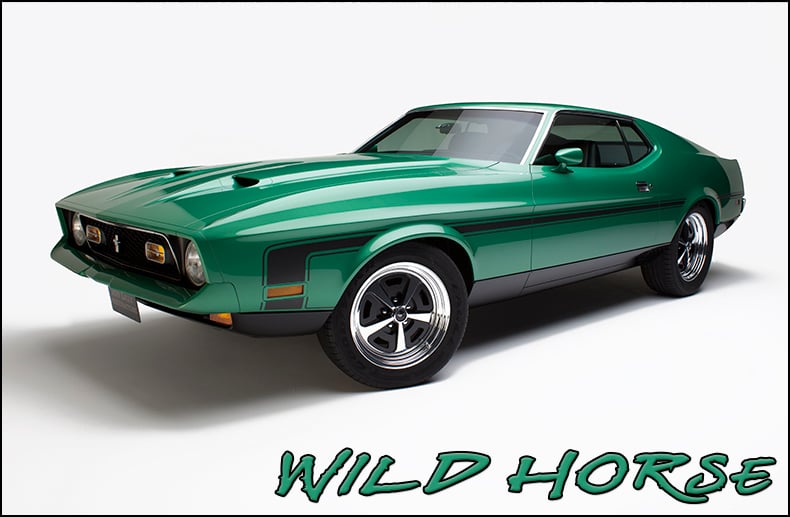 Wild horses ford mustang #1